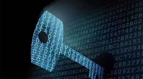 仓舟科技实时研究区块链与网络技术开发